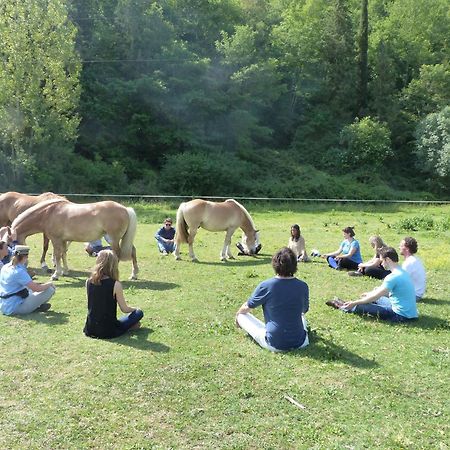 La Casella Antico Feudo Di Campagna Ficulle Dış mekan fotoğraf