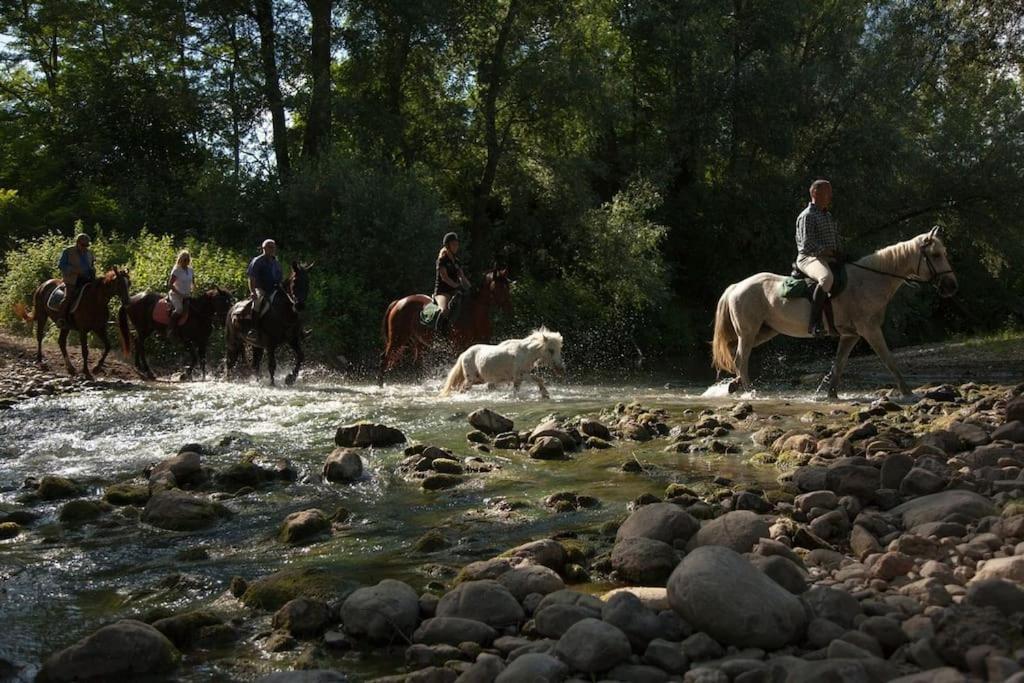 La Casella Antico Feudo Di Campagna Ficulle Dış mekan fotoğraf