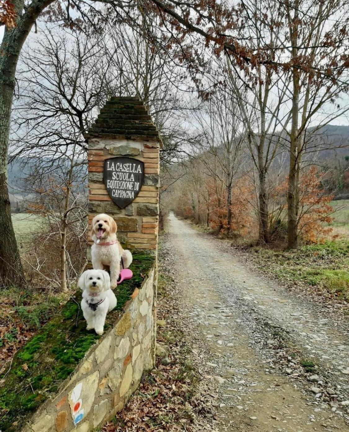 La Casella Antico Feudo Di Campagna Ficulle Dış mekan fotoğraf
