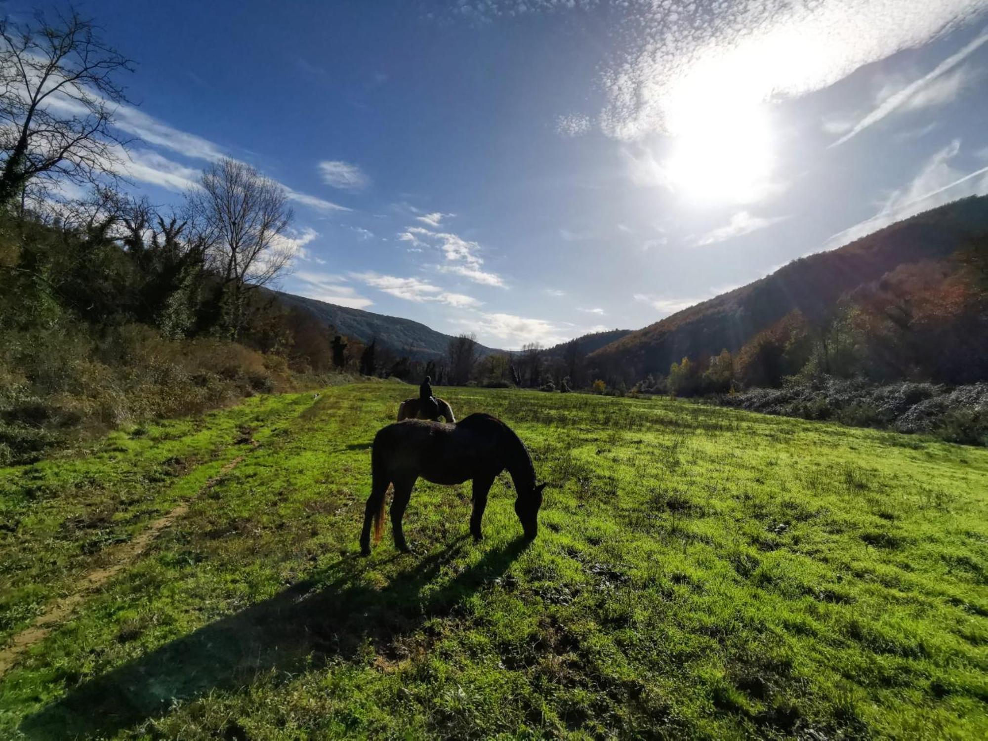 La Casella Antico Feudo Di Campagna Ficulle Dış mekan fotoğraf