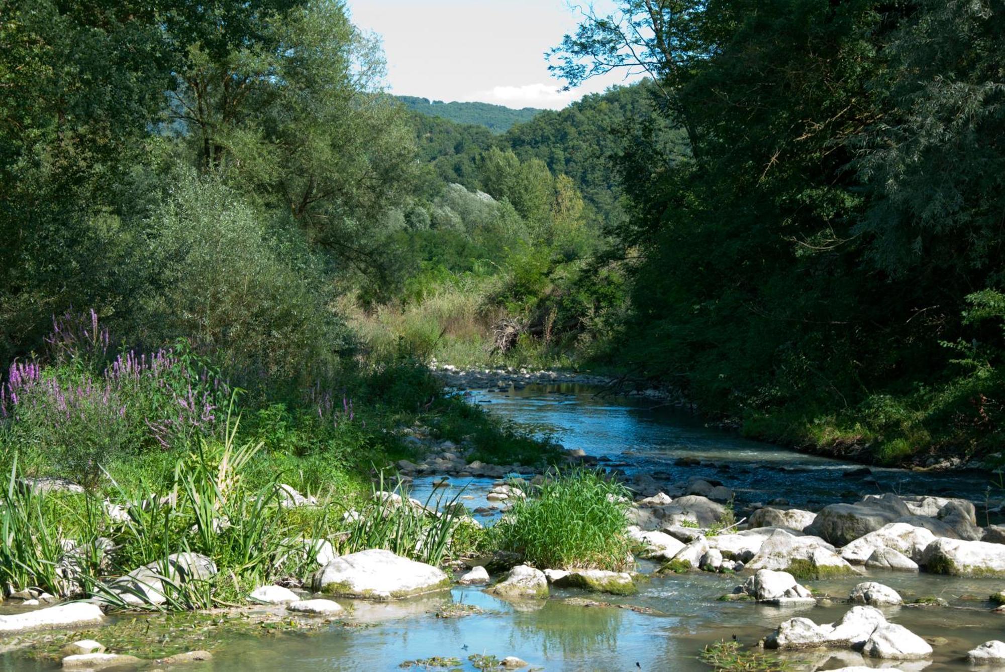 La Casella Antico Feudo Di Campagna Ficulle Dış mekan fotoğraf