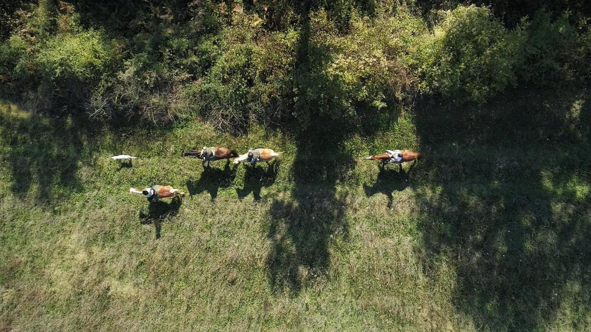 La Casella Antico Feudo Di Campagna Ficulle Dış mekan fotoğraf