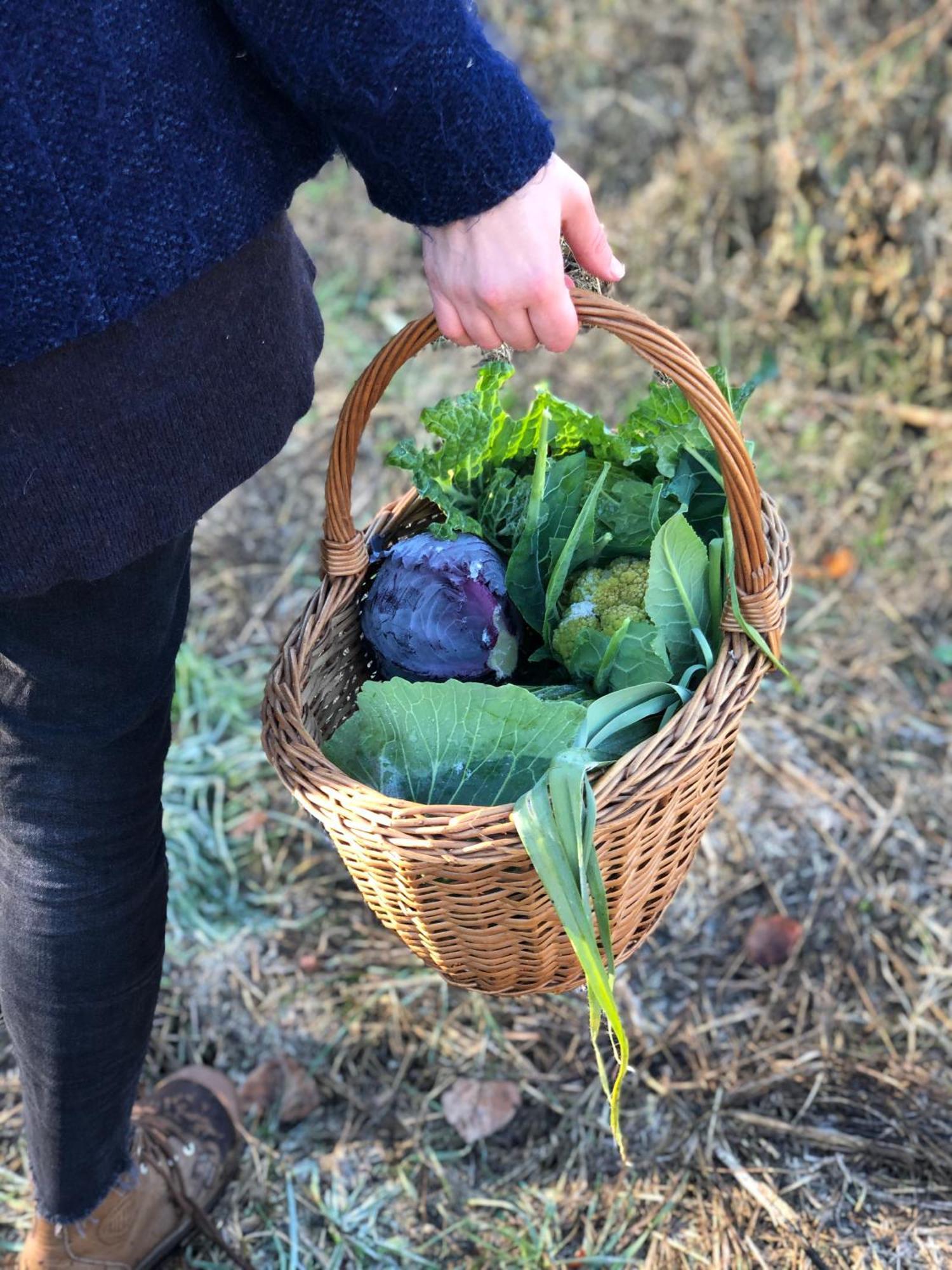 La Casella Antico Feudo Di Campagna Ficulle Dış mekan fotoğraf